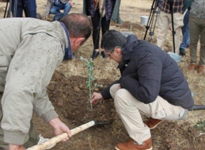 Նոր տնկիները կպաշտպանեն  շարժական «էլեկտրական հովիվները»