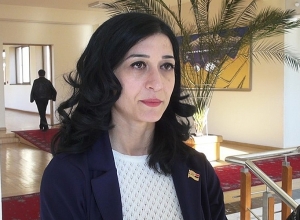 «Վերնատունը» քաղաքական գործընթացներից դուրս մնացած մարդկանց ակումբ է, վետերանների միություն․Դավոյան