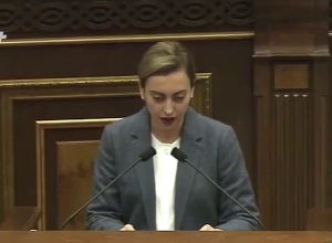 Այդ ընկերությունները կստանային թույլտվություն, եթե նվեր չտային․ Նազարյնաը՝  նվիրատվությունների մասին