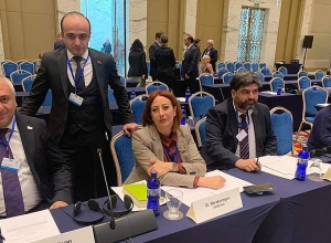 Եվրանեսթ ԽՎ-ում Մեծամորի ատոմակայանի փակման հարցը դնելու նախաձեռնությունը տապալվել է