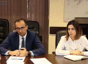 Представили свои наблюдения и оценки центров психического здоровья в Армении,