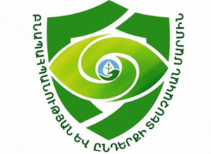 Բնից բազեի 4 ձագ է ընկել. ահազանգ Երևանի կոնյակի գործարանի աշխատակցից