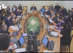 Եթե էդպես գրենք, կստացվի հայը ու հրեան կարող են որոշել, որ երեխան գերմանացի է․ Սուրեն Գրիգորյան