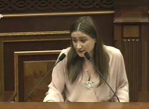 Դուք ավելի խելացի չե՛ք, քան Երևանի ավագանու անդամները. պատգամավորը՝ Անի Սամսոնյանին