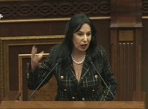 Այս խորհրդարանը չունի քաղաքական բովանդակություն