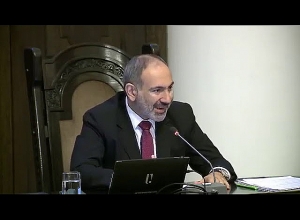 Եթե այս պայմանն ընդունելի չէ, ուրեմն կգործի հենց այսօրվանից. վարչապետը՝ սպանդանոցների մասին