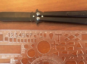 Հատուկ միջոցառում Շիրակի մարզում․ բերման են ենթարկվել «քրեական ենթամշակույթ» կրող անձինք