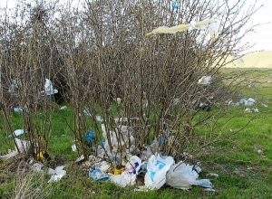 Два года до отказа от полиэтиленовых пакетов