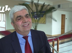 Անցյալ տարի վիզա տալու տենդենցը դանդաղել է․ Ս․Գրիգորյան