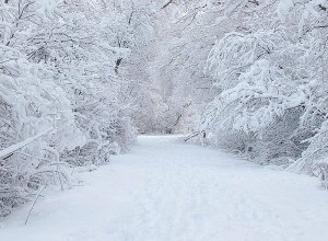 На всей территории республики будет идти снег