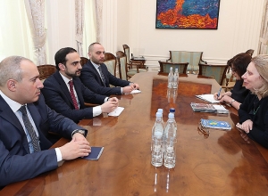 Тигран Авинян принял руководителя Офиса Совета Европы