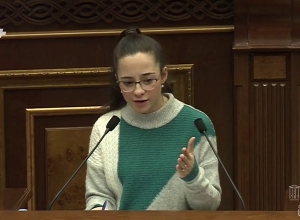 Ուզում եմ ուղղել ձեզ. Տաթևիկ Ռևազյանը՝ պատգամավորներին