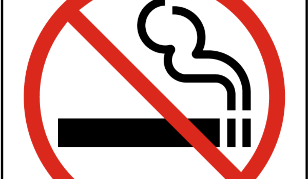 86738692_669611157112925_6194830613208367104_n