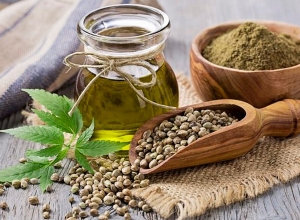 Ի՞նչ փուլում է հեմփ տեսակի կանեփազգի բույսի մշակումը թույլատրելու հարցը