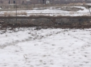 Շիրակի մարզում ցորենի ու գարու ցանքերը կապահովագրվեն