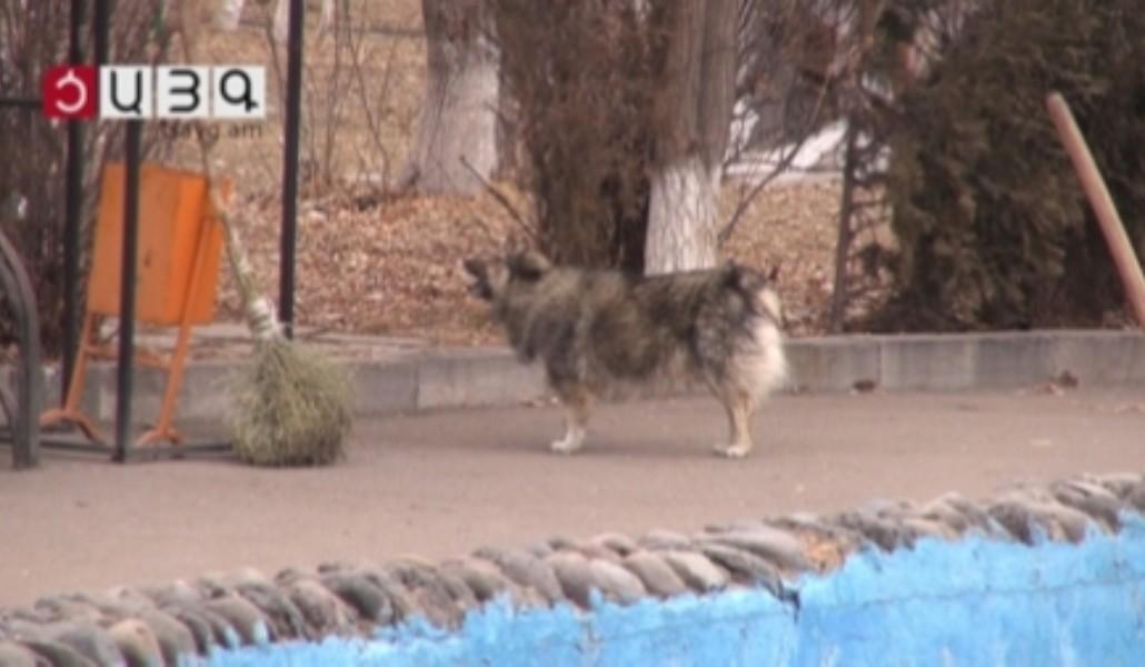 1582383204_00327.00_00_10_04.still001