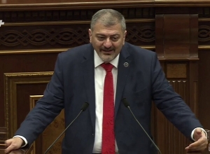 Վաչե Գրիգորյանի ելույթը խորհրդարանում