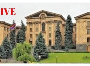 Парламентские слушания: ПРЯМОЙ ЭФИР