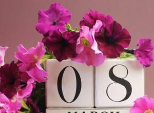 Terms of March 8th Municipality Invitation Receipt