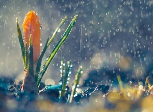 Weather forecast for upcoming 5 days in republic