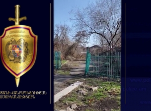 Պետությանը պատճառվել է 94 միլիոն դրամից ավելի վնաս․ ոստիկանության բացահայտումը