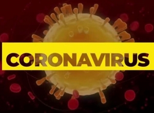 Ministry of Health reports confirmed cases of coronavirus disease by Yerevan and regions