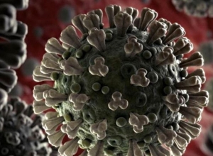 8 more cases of coronavirus are reported - Arsen Torosyan