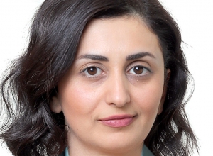 Armenian side has already retaliated - Shushan Stepanyan