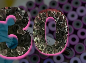 Подтвержденные случаи по данным на 08:00: МЗ