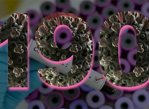 190 confirmed cases of coronavirus in Armenia