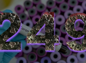 249 coronavirus cases reported in Armenia