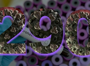 290 cases of coronavirus reported