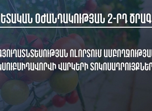 Second measure of neutralizing economic consequences of coronavirus presented