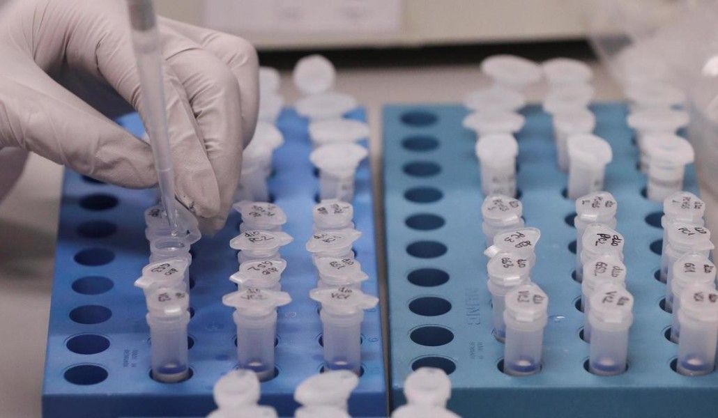 կորոնավիրուս