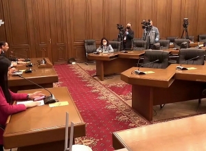 Օրինագիծը ներխուժում է մարդու անձնական տիրույթ. Իվետա Տոնոյան