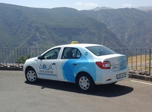 Stay at home or drive safely (video)