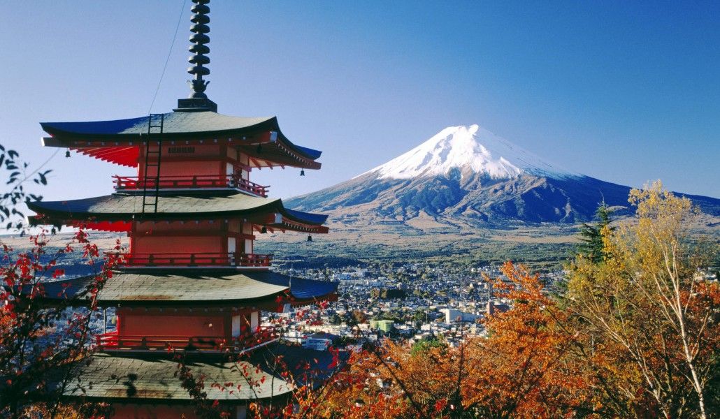 popl6a0x2bsqtj3tvoyrpedplme