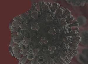 LIVE. Doctor answers to your questions