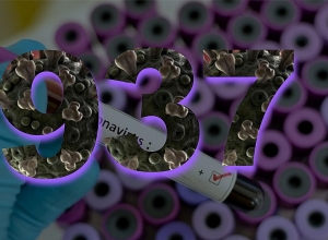 Число подтвержденных случаев коронавируса – 937