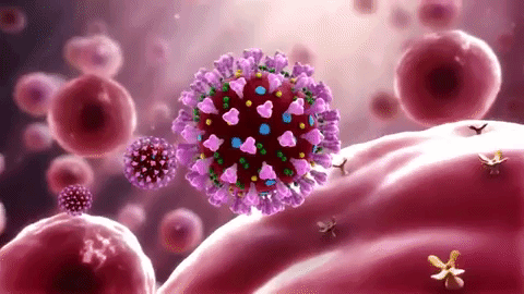 կորոնավիրուս