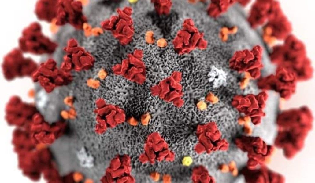 94705983_819235028564207_713270076454731776_n