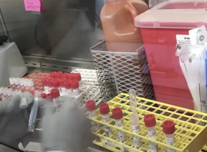 В Нью-Йорке тестируют лекарство от коронавируса