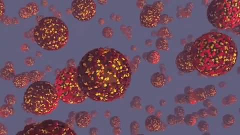 В Армении за сутки выявлено 134 новых случаев инфицирования коронавирусом