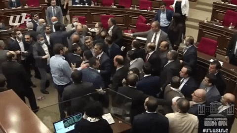 Fight between deputies in National Assembly