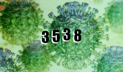 Случаи коронавируса – 3538