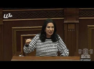 Խնդրում եմ մի ոգևորվեք, բացարձակ մի ոգևորվեք. Նաիրա Զոհրանբյանը՝ պատգամավորին
