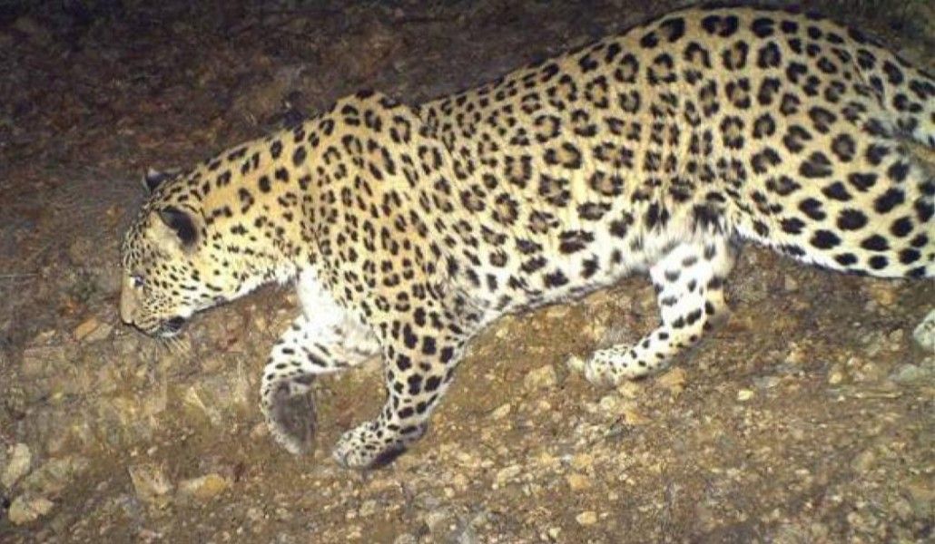 2019AM_968775_187618082