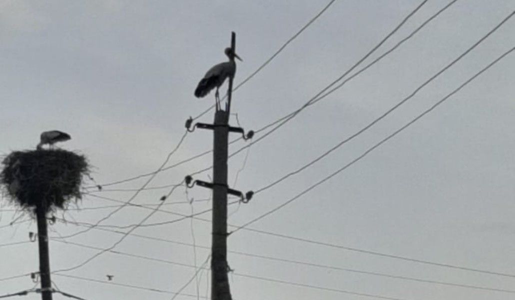 97992951_239344634158323_4264572456691302400_n