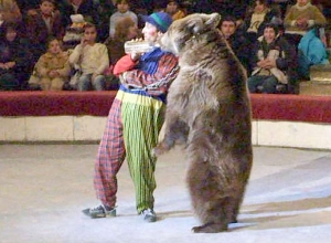 Цирк без животных? Директора Ереванского цирка удивляет инициатива эколога
