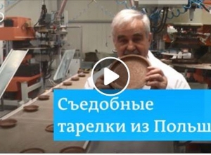 Съедобные тарелки вместо пластика